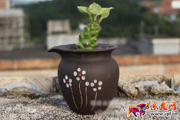 如何作一個圖文并茂，引人入勝的詳情頁?