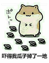 天天特價(jià)
