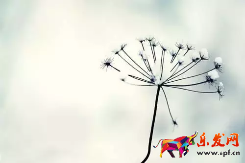 網(wǎng)店怎么代理加盟？有什么條件？